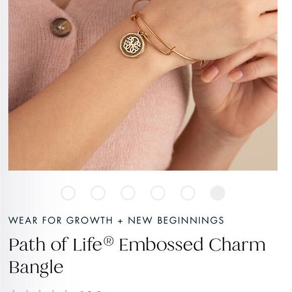 NWT Alex & Ani Path of Life® Embossed Charm Bangle - Picture 2 of 5
